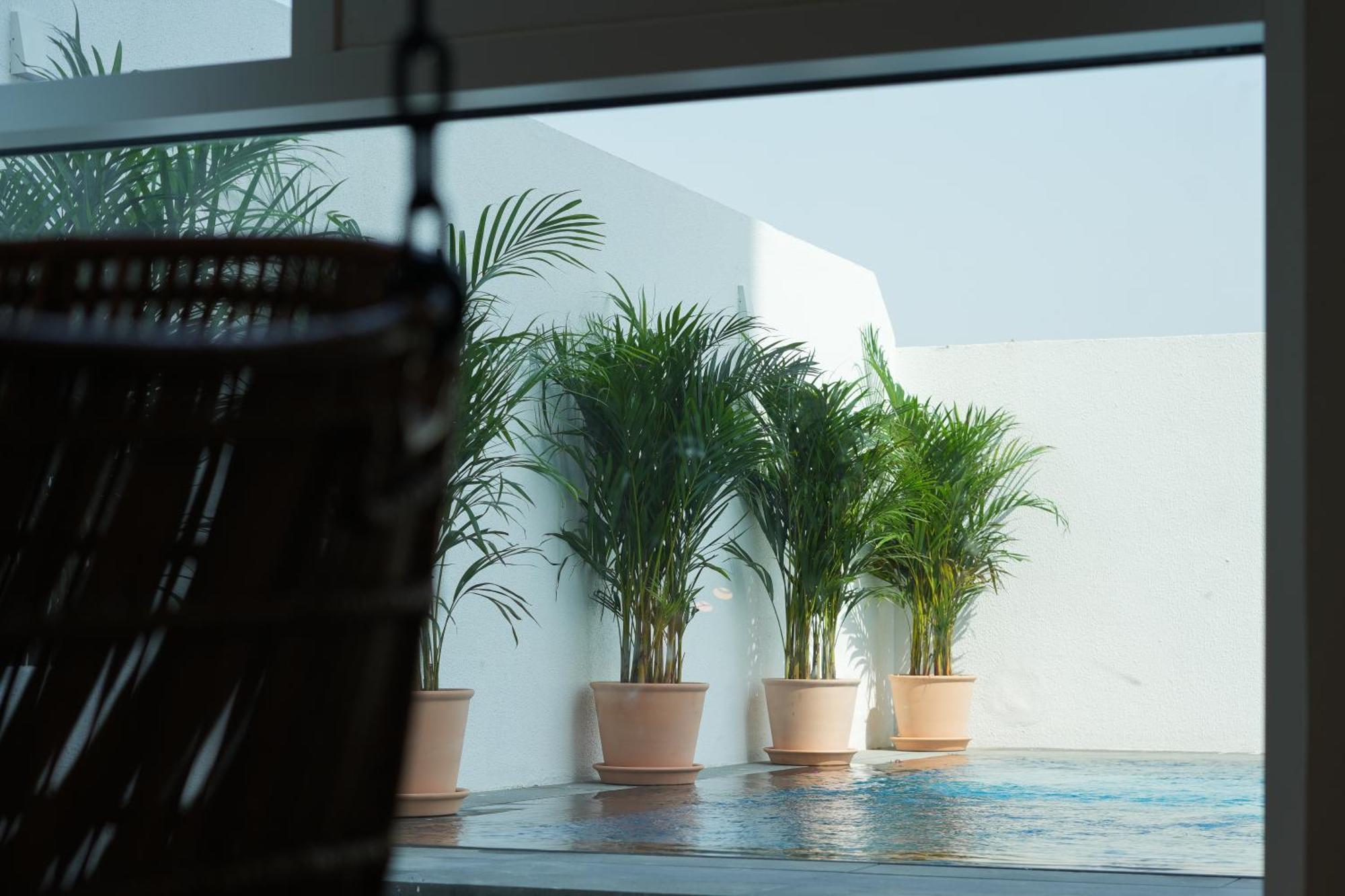 Shada Hotel Jumeirah Garden Ντουμπάι Εξωτερικό φωτογραφία